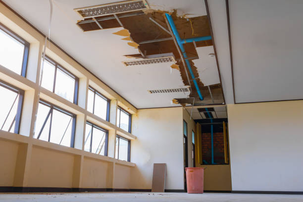 Best Water damage cleanup near me  in Ruhenstroth, NV