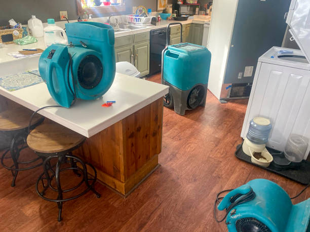 Best Carpet water damage restoration  in Ruhenstroth, NV