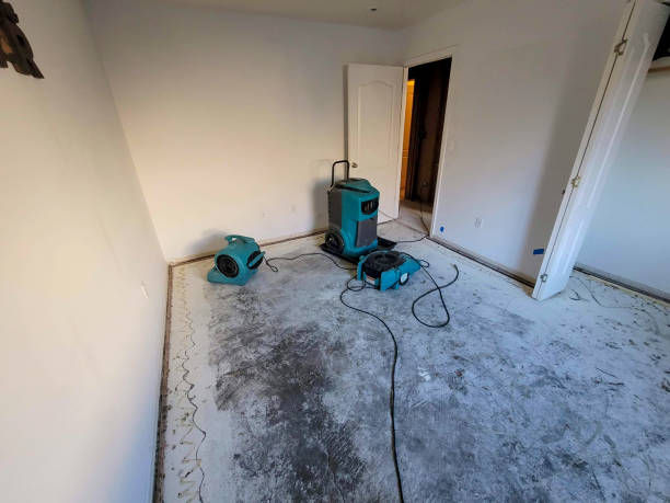 Best 24/7 water damage repair  in Ruhenstroth, NV
