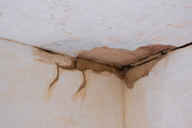 Best Emergency water damage restoration  in Ruhenstroth, NV
