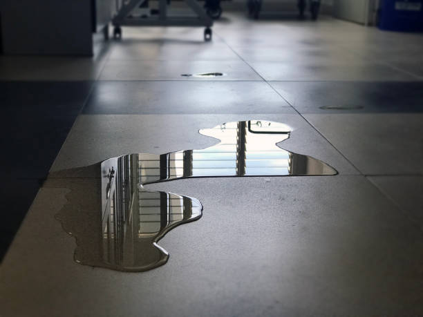 Best Commercial water damage restoration  in Ruhenstroth, NV