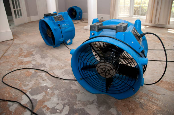 Best 24/7 water damage repair  in Ruhenstroth, NV