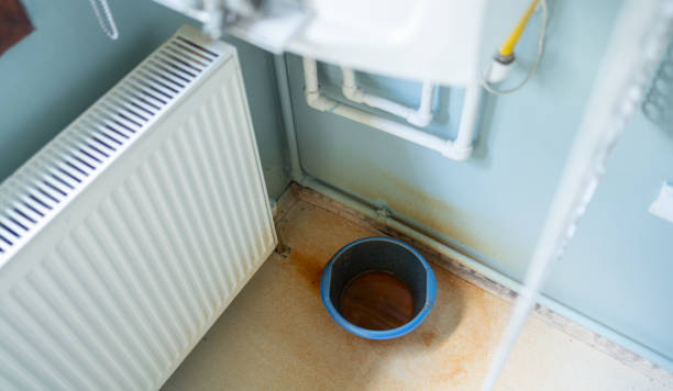Best Basement water damage restoration  in Ruhenstroth, NV