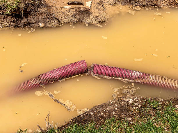 Best Water damage restoration near me  in Ruhenstroth, NV