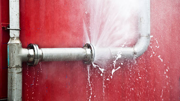 Best Flooded house restoration  in Ruhenstroth, NV